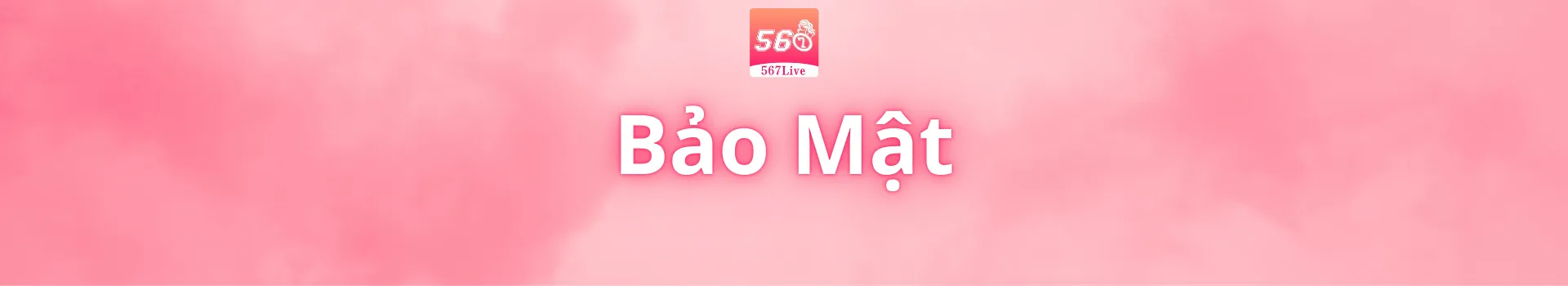 bảo mật bảo mật